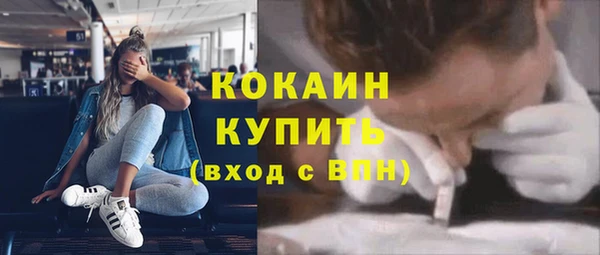 твердый Арсеньев