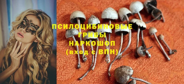 твердый Арсеньев