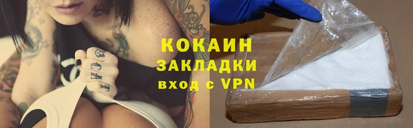 твердый Арсеньев